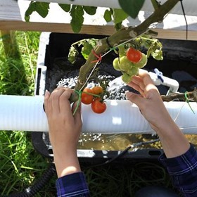 Kailee Mitsuyasu: Growing her STEM knowledge Kailee Mitsuyasu: Growing her STEM knowledge