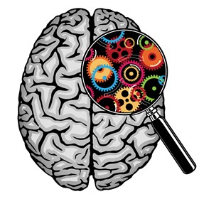 7 ways to build your students' ' brains 7 ways to build your students' ' brains