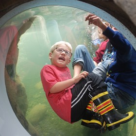 Create learning environments that drive engagement Create learning environments that drive engagement