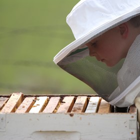 Let students do real science Let students do real science