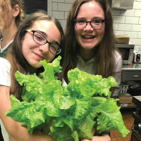 Maryland students combine coding, electronics, design and agriculture to create smart hydroponic planters.