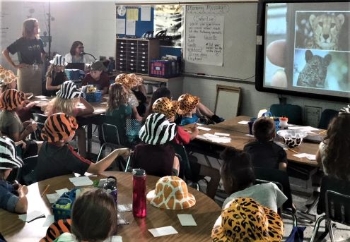 students in a classroom participate in a livestream of a wildlife safari