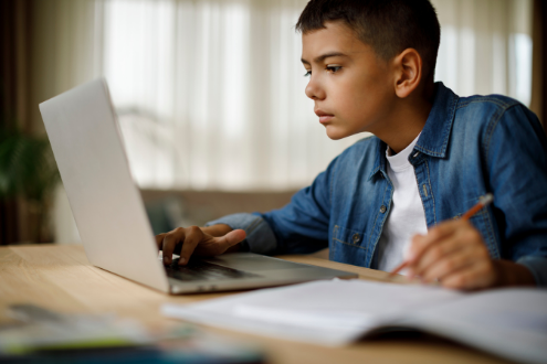 A young boy searches the internet on a laptop