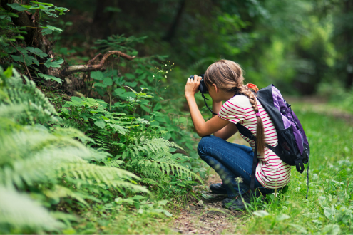 Una niña toma una foto de la naturaleza.