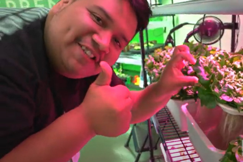 Un estudiante muestra sus plantas en un jardín hidropónico.