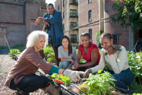 Cuatro mujeres se reúnen alrededor de una huerta urbana admirando las lechugas que crecen.