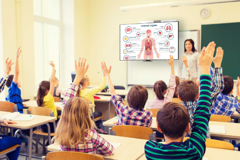 Students in a classroom raise their hands while a teacher stands in front of a screen showing a diagram of the human body. 